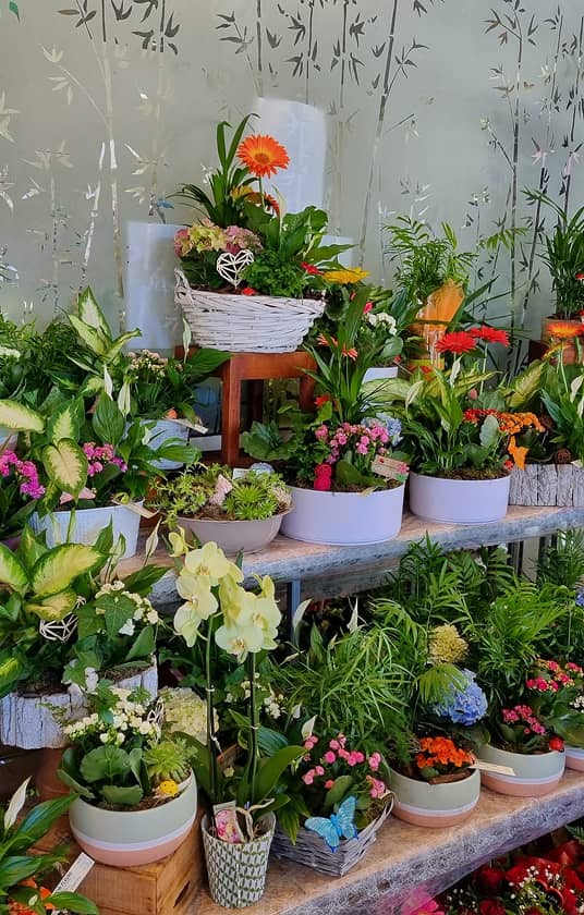 Fleuriste à Cannes – Acacia Fleurs