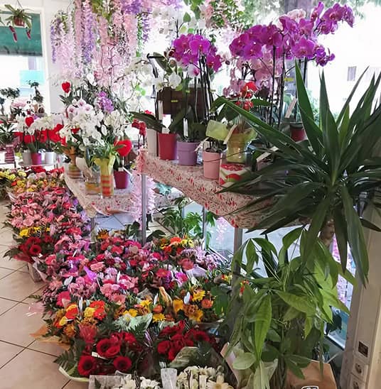 Fleuriste à Cannes – Acacia Fleurs