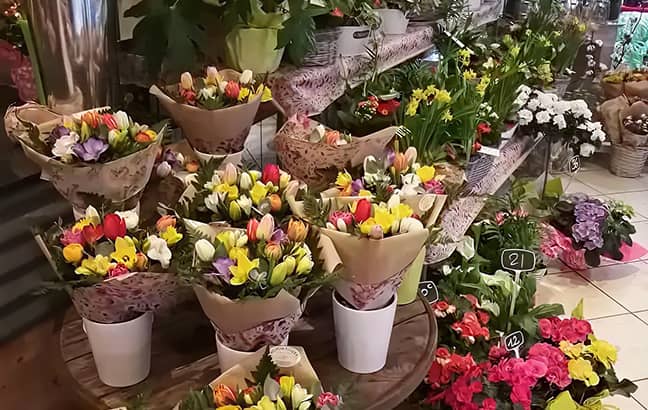 Fleuriste à Cannes – Acacia Fleurs